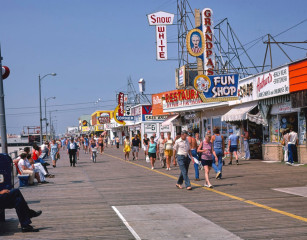 Wildwood