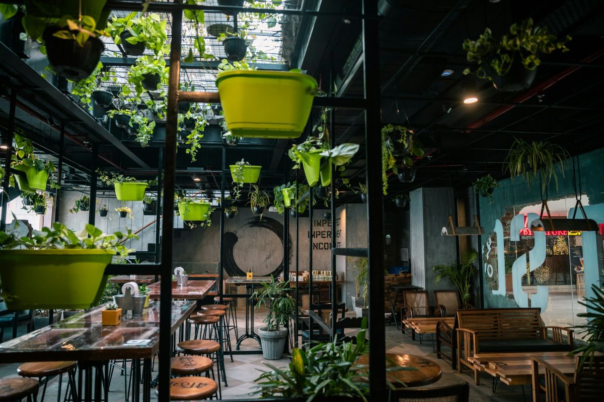 Sustainable enjoyment: How restaurants can go green