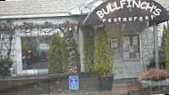 Bullfinchs outside