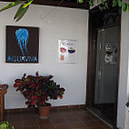 Aguaviva outside