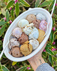 Molly Moon’s Homemade Ice Cream food