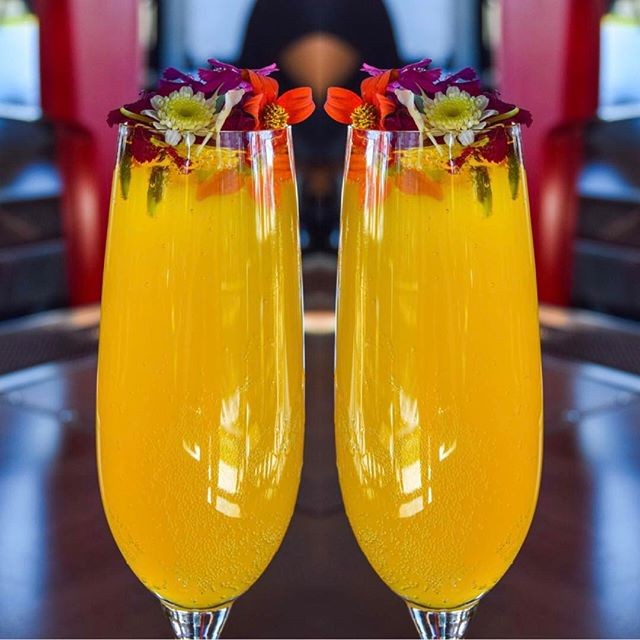 MATCH Cuisine & Cocktails