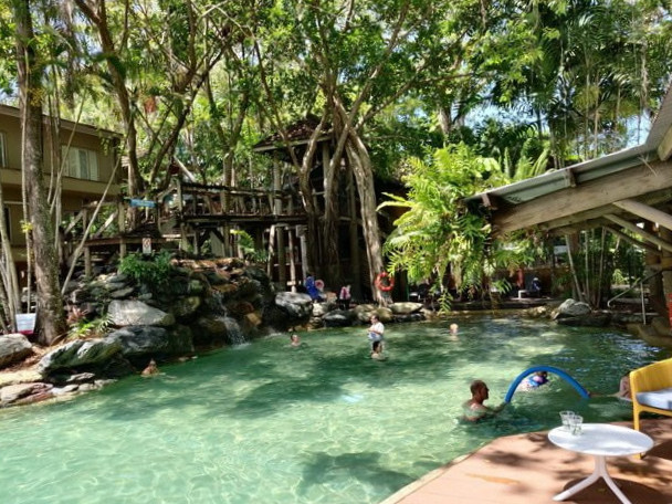 Tree Bar and Grill
