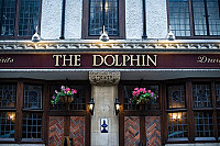 The Dolphin inside