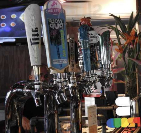 Bacchus Waikiki