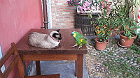 Locanda Dei Vagabondi inside