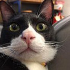 Hǎo Bǎo Cān Shí Biàn Dāng Shǒu Zuò Xiǎo Wù menu