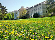 Waldmeierei Liechtenstein outside