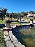 La Collina Di Pienza outside