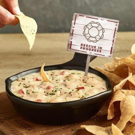 Outback Steakhouse Seminole