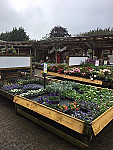 Garden Kitchen outside