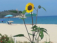 Basaura Beach outside