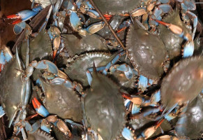 Masterbaiter's Crabs, Bait, Tackle food