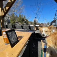 Alibi Ale Works Truckee Public House outside