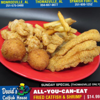 David's Catfish House Llc food