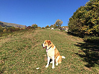 Agriturismo Croda Bianca outside