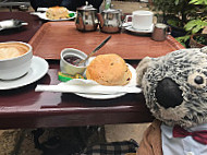 Bonnet's food