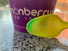 Lemonberry Frozen Yogurt food