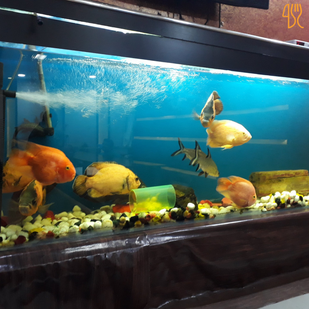 Karnataka Bhavan Veg Restaurant