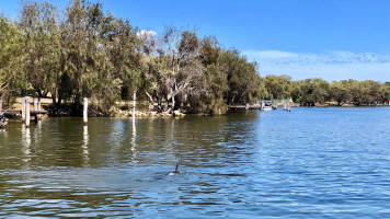 Pelicans Cafe on the Murray food