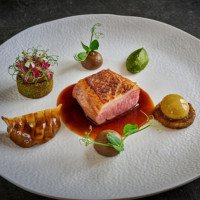 Obendorfer's Eisvogel food