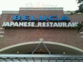 Beluga Japanese outside