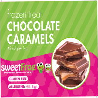 Sweet Frog Premium Frozen Yogurt food