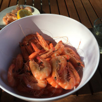 Coffs Harbour Fishermen's Co-op food