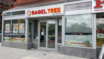 Bagel Tree food