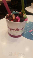 Yogurtland food