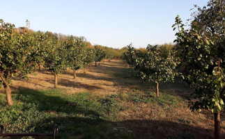 Kod Zorana I Tanje outside