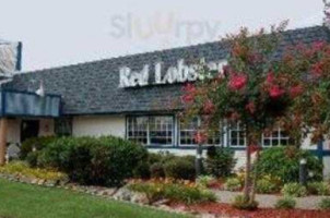 Red Lobster Florence Cox Creek Parkway food