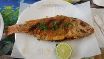 Red Sea Fish food