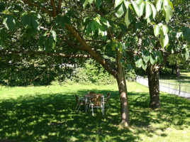 Hove Park Cafe inside