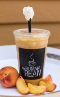 The Human Bean Albany food