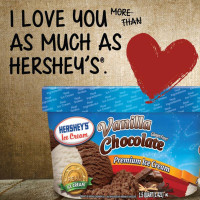 Hershey's Ice Cream food