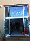 Vivo outside