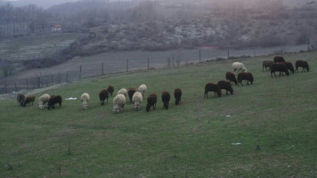 Agriturismo Cascina La Botta outside