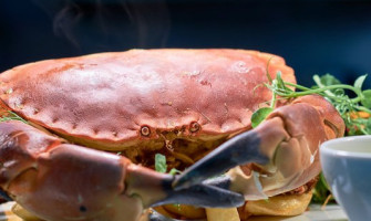 Crustacean food