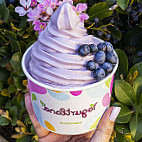 Yogurtland Centennial food