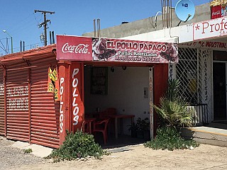 El Pollo Papago