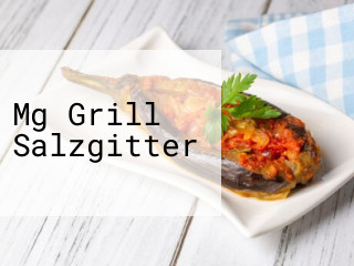 Mg Grill Salzgitter