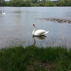 Imbiss am Badesee