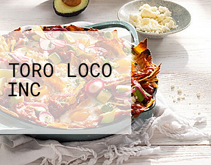 TORO LOCO INC