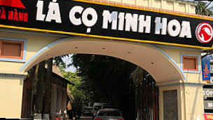 Lá Cọ Minh Hoa