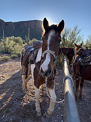 Hat Rock Inn