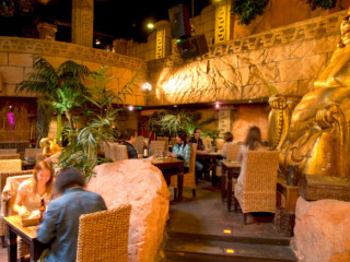 Jungle Cafe