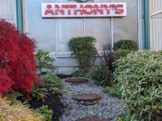 Anthony's Homeport Olympia