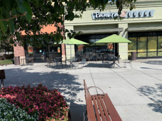 Panera Bread