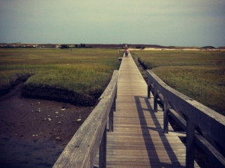 Sandwich Boardwalk